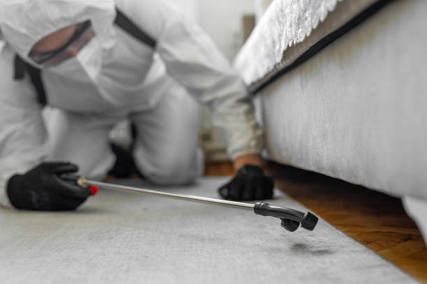 Professional Cockroach Control technician working in Farmers Loop, AK