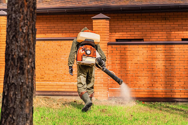 Top rated local Cockroach Control specialists in Farmers Loop, AK